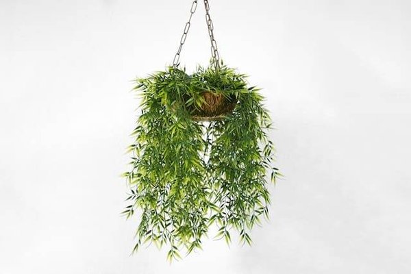 Conseils pour une décoration intérieure axée sur le développement durable
